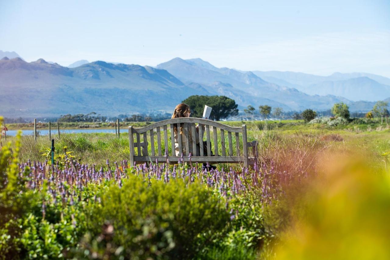 Sante Wellness Retreat & Spa Paarl Εξωτερικό φωτογραφία